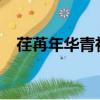 荏苒年華青衫落拓txt百度云（荏苒年華）