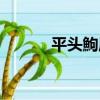 平頭鮈屬（關于平頭鮈屬介紹）