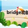 bridge功能是什么意思（bridge功能）