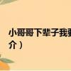 小哥哥下輩子我要嫁給你（關于小哥哥下輩子我要嫁給你簡介）