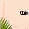 江藤眼鏡片價格表（江藤）