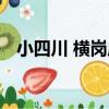 小四川 橫崗店（關于小四川 橫崗店簡介）