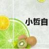 小哲自白（關于小哲自白簡介）