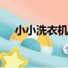 小小洗衣機app下載（小小洗衣機app）
