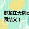 御龍在天桃園結義現在是哪個區（御龍在天桃園結義）