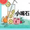 小嘴石貝（關于小嘴石貝簡介）