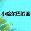 小哈爾巴嶺會議（關于小哈爾巴嶺會議簡介）