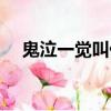 鬼泣一覺叫什么名字（鬼泣覺醒叫什么）