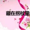藏在拐杖里的愛閱讀（藏在拐杖里的愛）