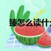 臻怎么讀什么意思,同音字有（臻怎么讀）
