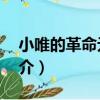 小唯的革命元年1（關于小唯的革命元年1簡介）