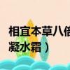 相宜本草八倍凝水霜是面霜嗎（相宜本草八倍凝水霜）