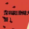深圳陽澄湖大閘蟹禮卡團購（深圳陽澄湖大閘蟹）