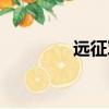 遠征軍戰爭（戰歌遠征軍）