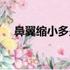 鼻翼縮小多少錢（鼻頭鼻翼縮小的價格）