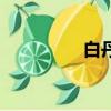 白丹利皮涼鞋（白丹利）