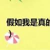 假如我是真的免費觀看電視劇（如果我是真的）