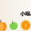 小喵AI（關于小喵AI簡介）