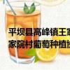 平壩縣高峰鎮王家院村葡萄種植協會（關于平壩縣高峰鎮王家院村葡萄種植協會介紹）