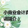 小商業會計真賬實訓（關于小商業會計真賬實訓簡介）