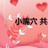 小嘴穴 共鳥（關于小嘴穴 共鳥簡介）