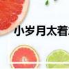 小歲月太著急（關于小歲月太著急簡介）