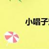 小唱子戲（關于小唱子戲簡介）
