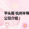 平頭哥 杭州半導體有限公司（關于平頭哥 杭州半導體有限公司介紹）