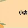 小唐村（關于小唐村簡介）