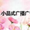 小品式廣播廣告（關于小品式廣播廣告簡介）