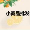 小商品批發城（關于小商品批發城簡介）