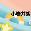 小巖井胡桃（關于小巖井胡桃簡介）