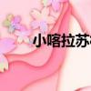 小喀拉蘇村（關于小喀拉蘇村簡介）