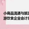 小商品流通與旅游飲食企業會計實務（關于小商品流通與旅游飲食企業會計實務簡介）