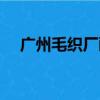 廣州毛織廠畫花師傅招聘（廣州毛織廠）