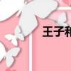 王子和灰姑娘（王子和丫頭）