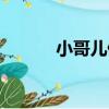 小哥兒倆（關于小哥兒倆簡介）