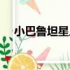 小巴魯坦星人（關于小巴魯坦星人簡介）
