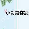 小哥哥你別走（關于小哥哥你別走簡介）