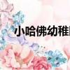 小哈佛幼稚園（關于小哈佛幼稚園簡介）