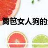 籬笆女人狗的全部歌詞（籬笆女人和狗歌詞）