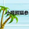小嗶熊貓參見（關于小嗶熊貓參見簡介）