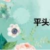 平頭車（關于平頭車介紹）