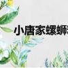 小唐家螺螄粉（關于小唐家螺螄粉簡介）