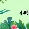 小哨村（關于小哨村簡介）