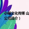小喵文化傳媒 山東有限公司（關于小喵文化傳媒 山東有限公司簡介）