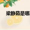 梁靜茹是哪里的歌手（梁靜茹是哪里人）