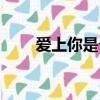 愛上你是個錯歌詞（愛上你是個錯）
