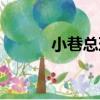 小巷總理（關于小巷總理簡介）