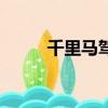 千里馬駕校在哪里（千里馬駕校）